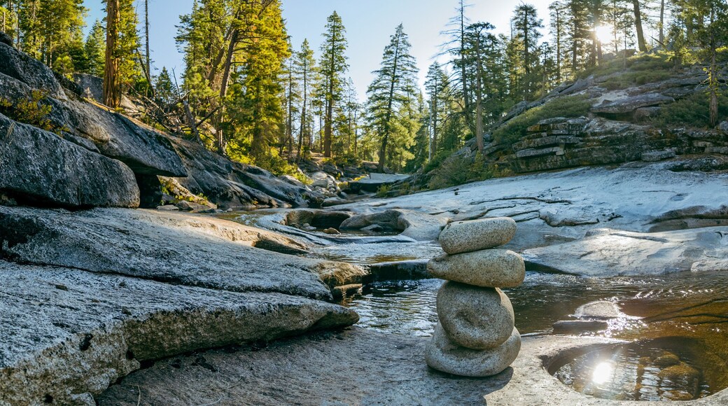 Placerville