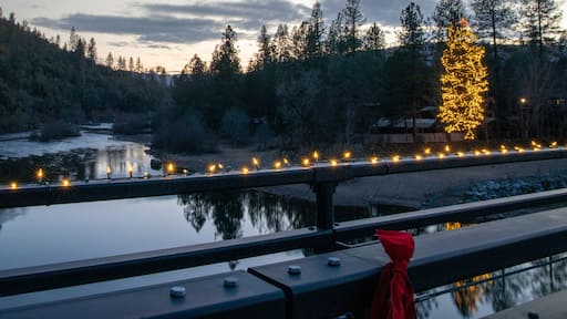 Coloma Christmas Tree Reflecting in the South Fork of the American River at Sunset From the Coloma Bridge