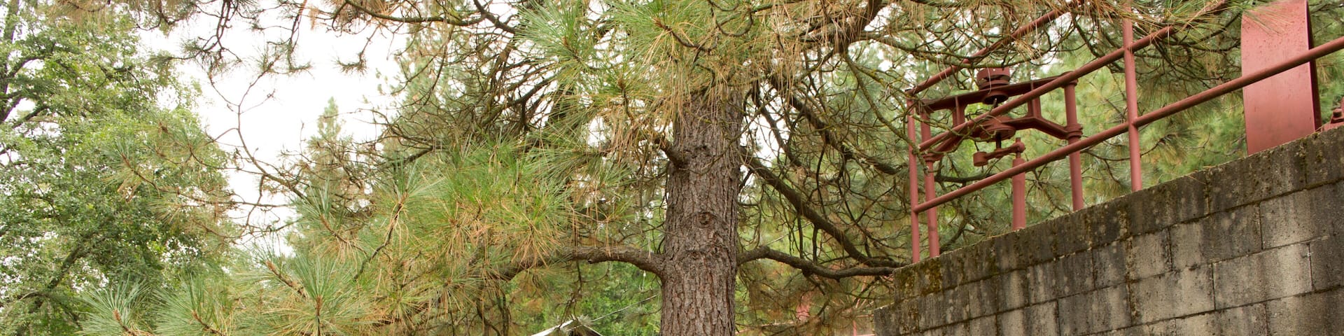 Grass Valley Hotel Guide