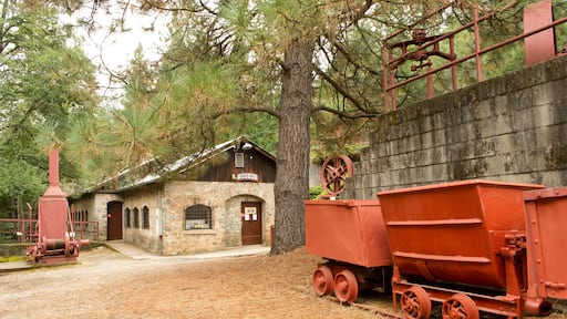 Northstar Mine Power House historic park, Grasss Valley