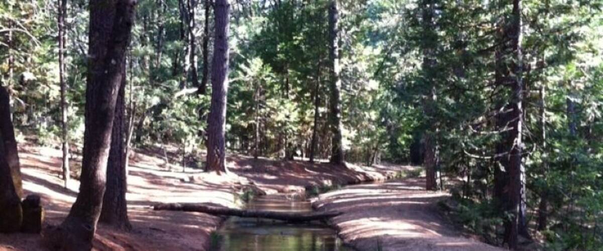 Condon Park disc golf in Grass Valley