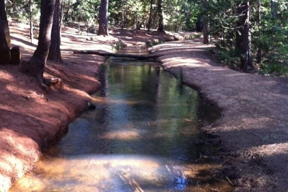 Zona boscosa con un pequeño arroyo y un sendero de tierra.