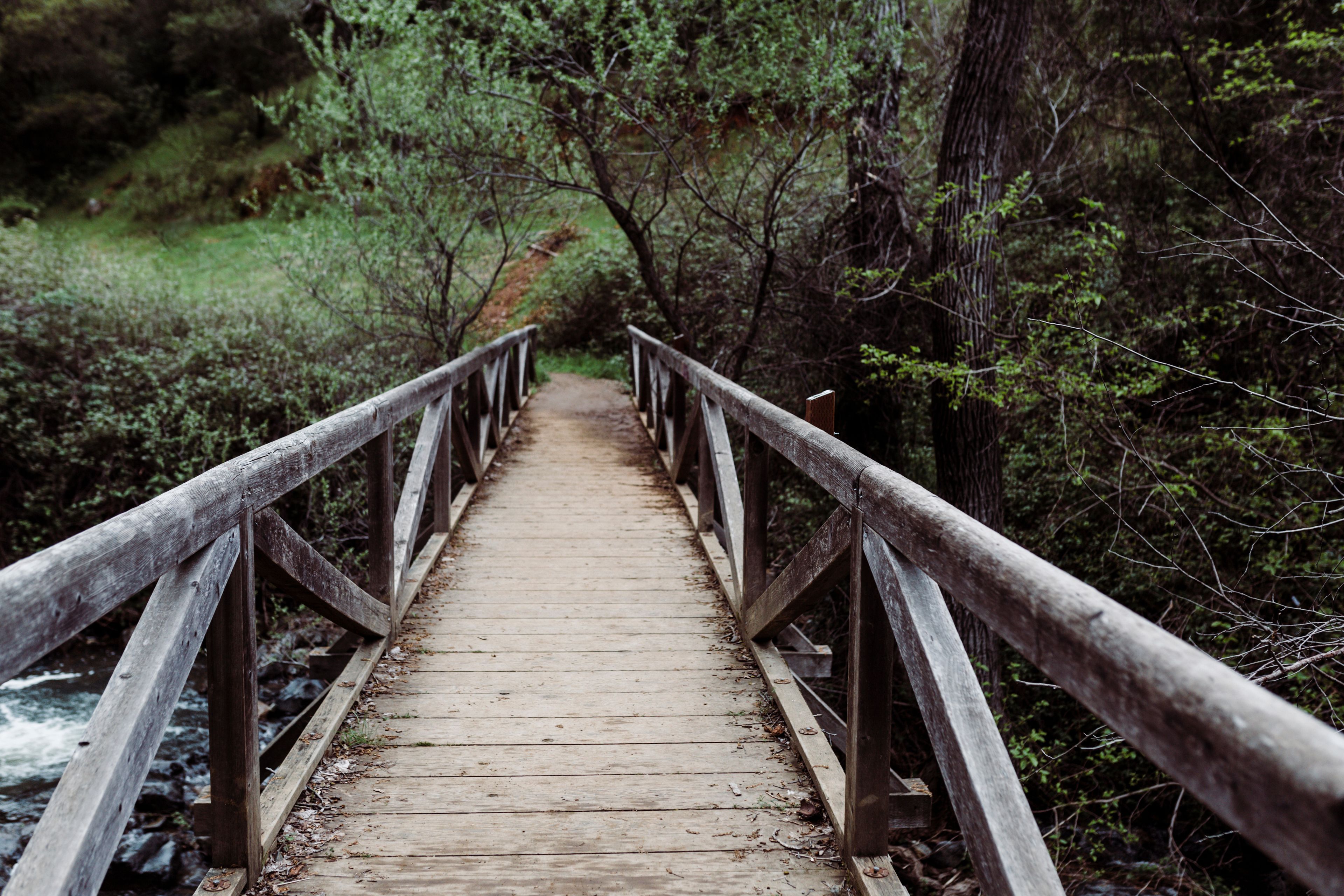 Footbridge over Yuba River in forest