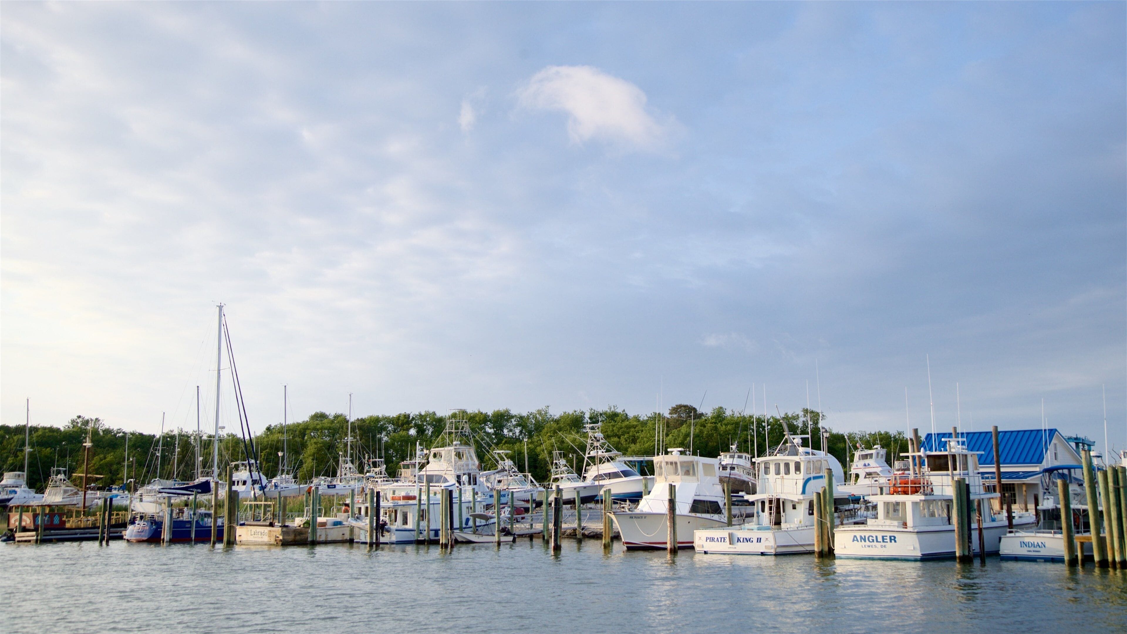 Lewes que incluye una bahía o puerto, vistas de paisajes y una puesta de sol