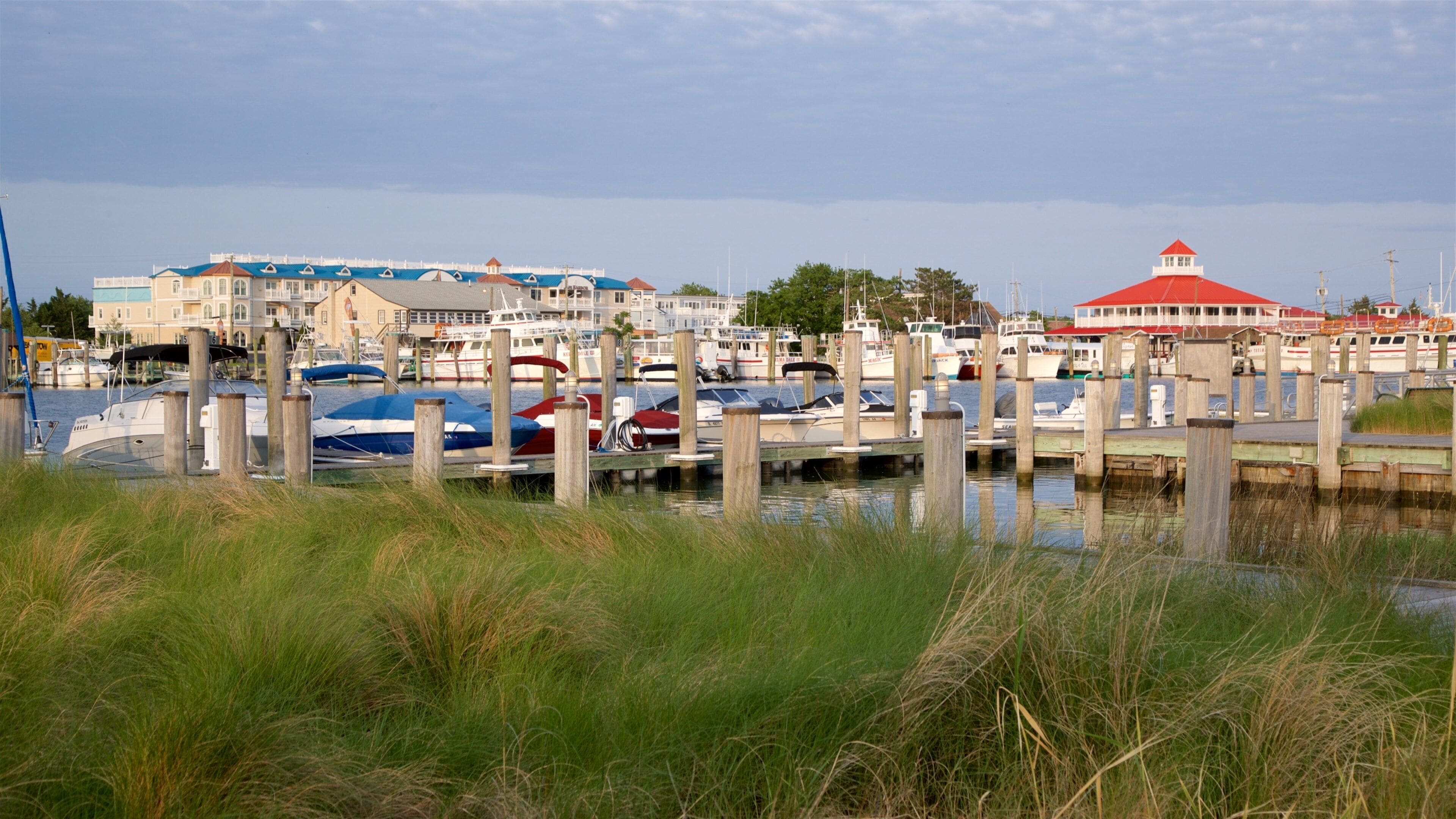 Lewes showing a bay or harbor
