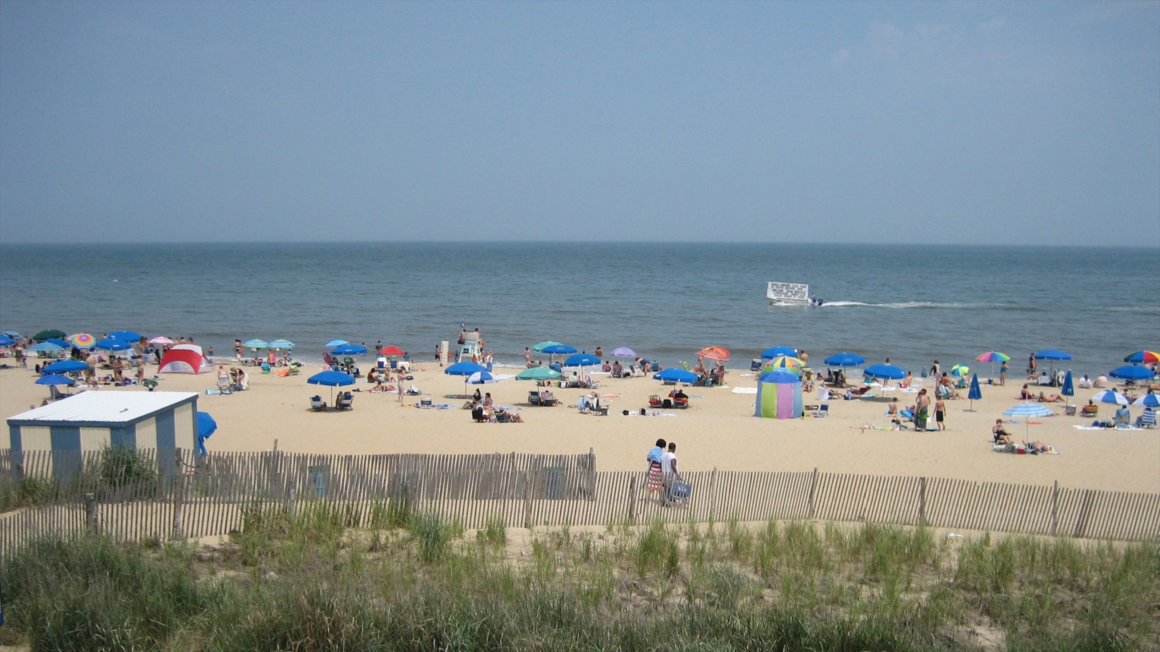 Rehoboth Beach das einen Sandstrand und tropische Szenerien