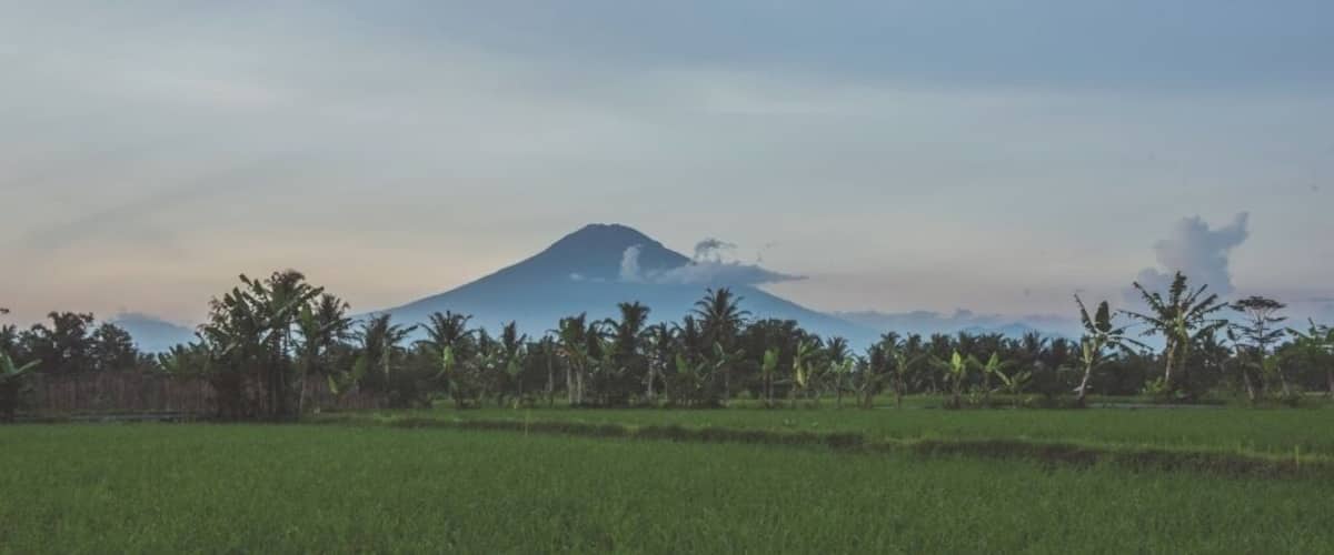 Roadtrips through the unknown have always been our favourite. This photograph was captured while we were en route to Wonsobo in West Java.
For more such photographs and articles on our adventures, don't forget to visit our blog: The Urban Minstrels! :)