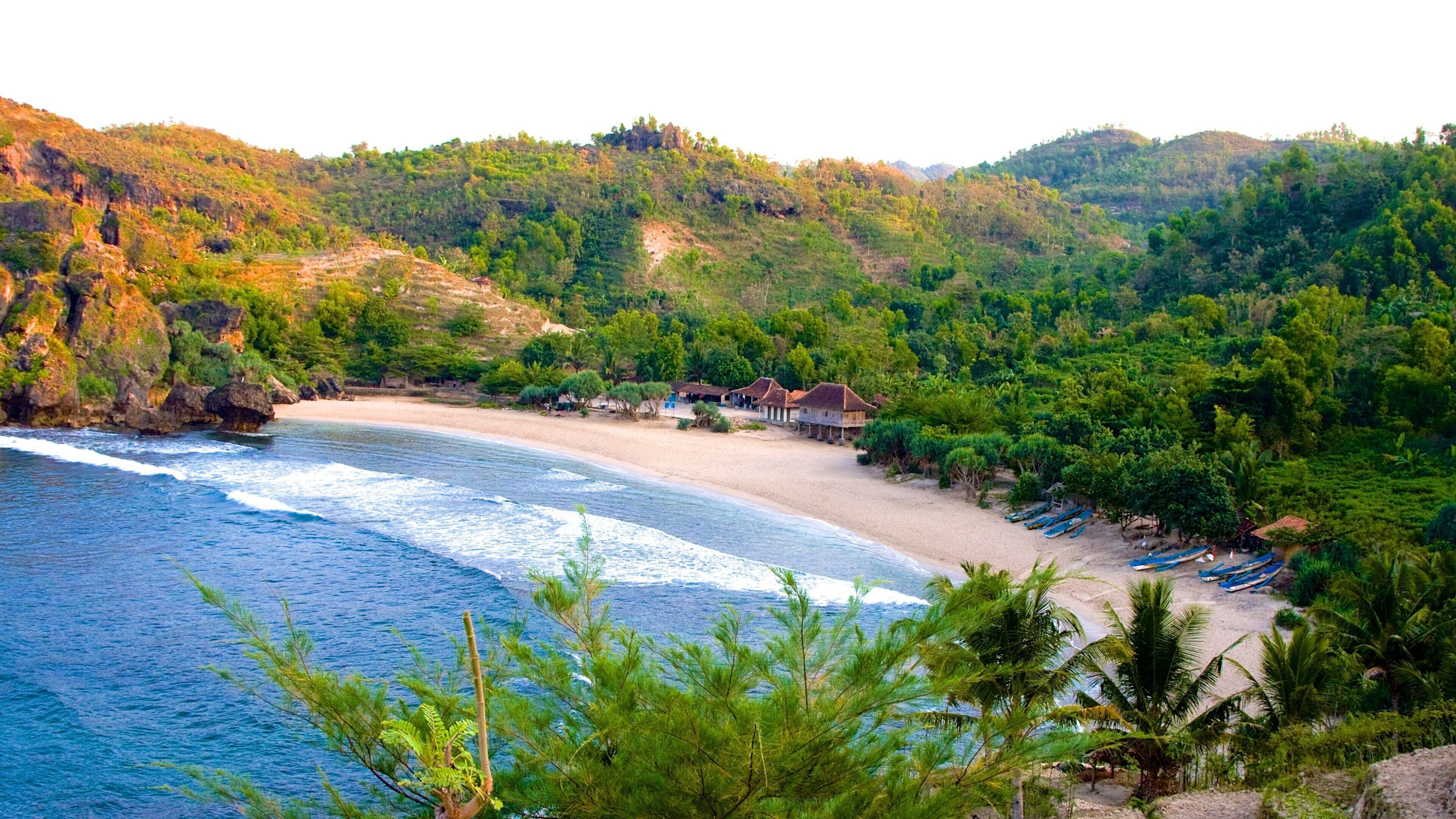 Central Java showing landscape views and a sandy beach