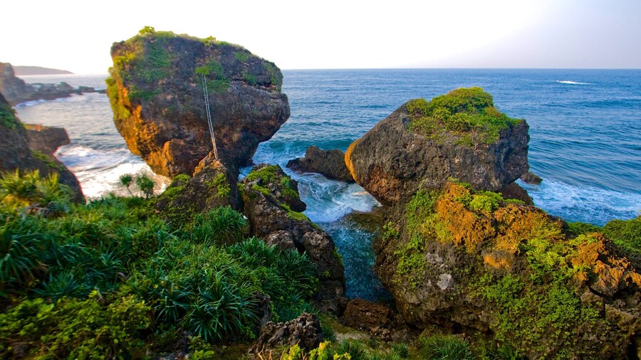 Central Java showing general coastal views