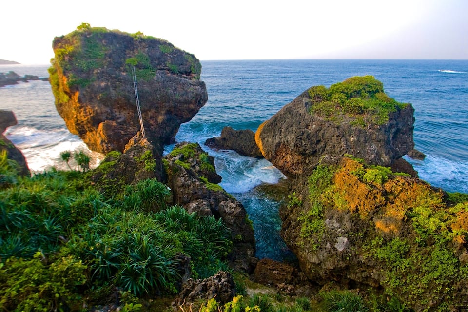 Un paisaje costero con grandes formaciones rocosas y abundante vegetación.