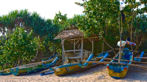 Tỉnh Central Java trong đó bao gồm bãi biển, chèo thuyền và quang cảnh miền nhiệt đới