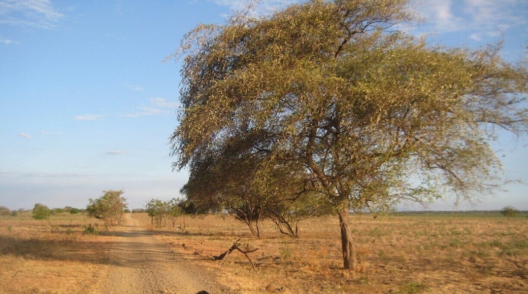 #Troveon. Baluran National Park is located in East Java, Indonesia.
It's off the beaten track, has very few visitors and is a little taste of Africa, in Asia. No 'Big Five' animals present though!
http://endless-explorer.com/a-taste-of-africa-in-indonesia-baluran-national-parkjava/
