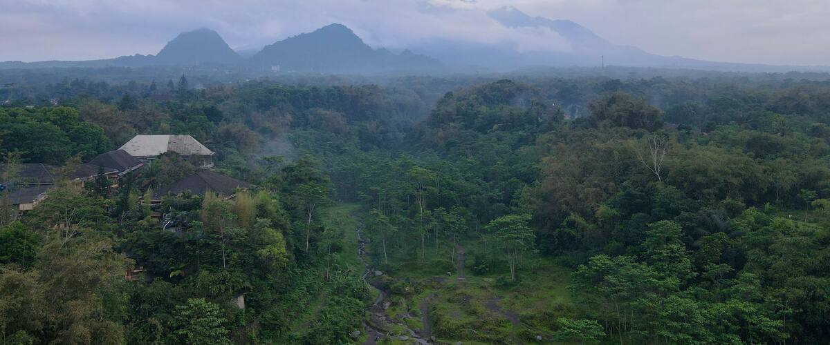 A mountainous landscape with a prominent peak, dense forest, and scattered buildings.