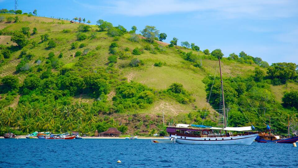 A coastal landscape with a hill, boats, and a small dock.