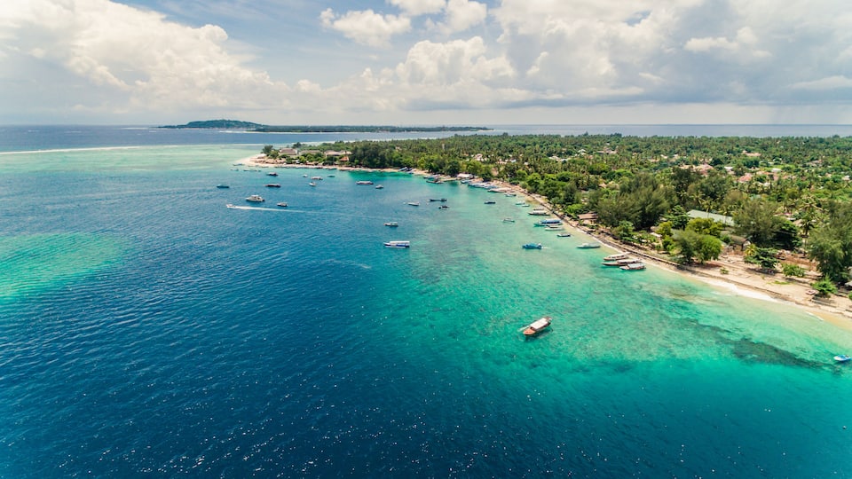 A coastal area with clear turquoise waters, numerous boats, and a densely vegetated shoreline.