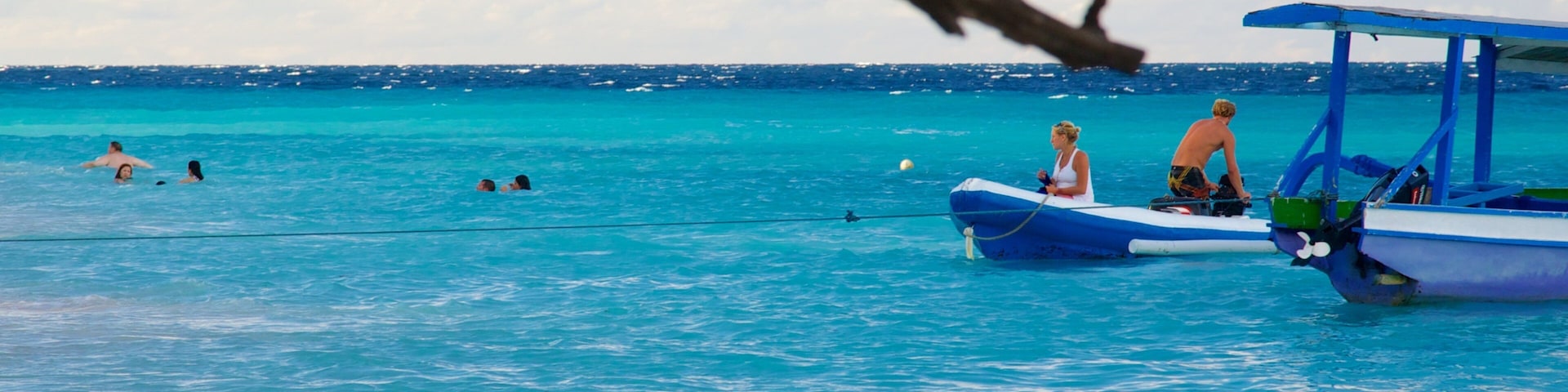 Gili Islands ofreciendo escenas tropicales, vistas de una costa y natación