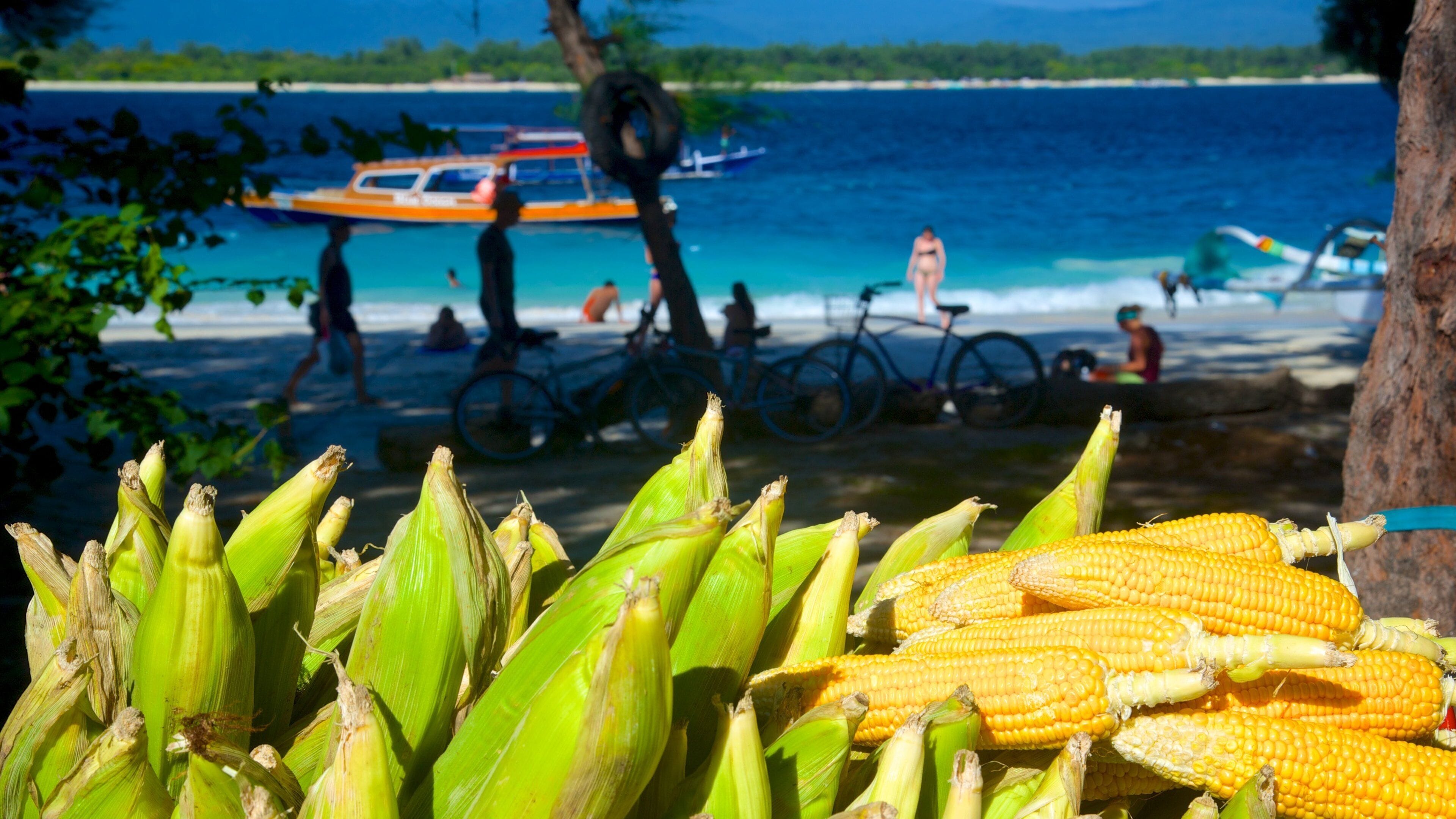 Una playa con gente, bicicletas y barcos.