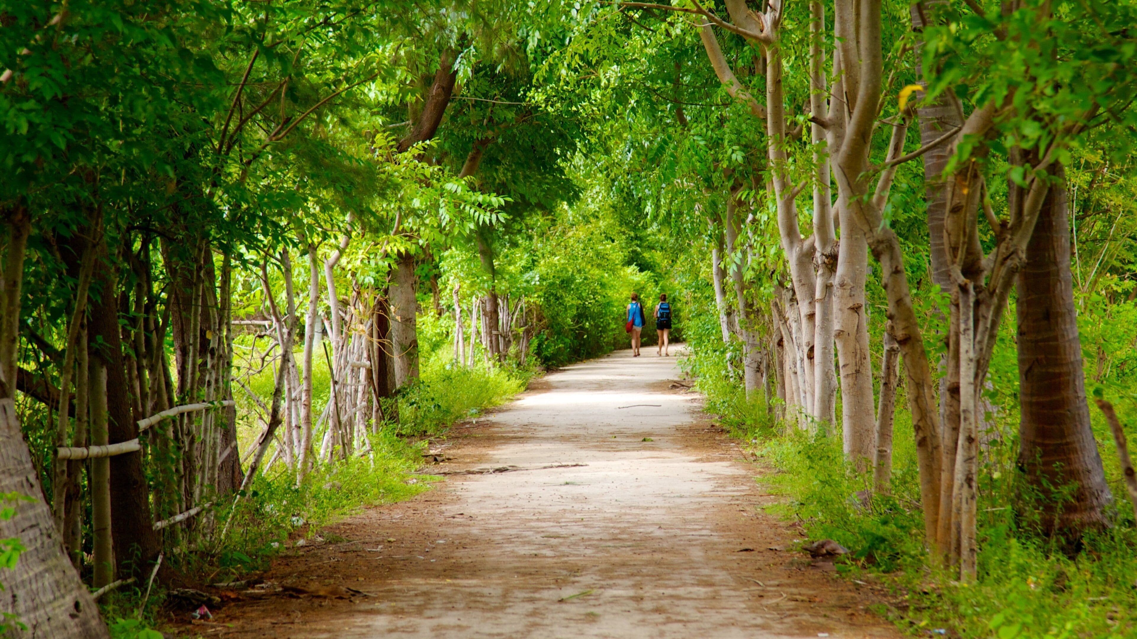 Visit Gili Islands: Best of Gili Islands Tourism | Expedia Travel