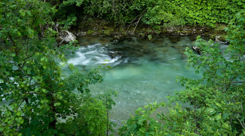 Bad Gastein - Pongau which includes a river or creek