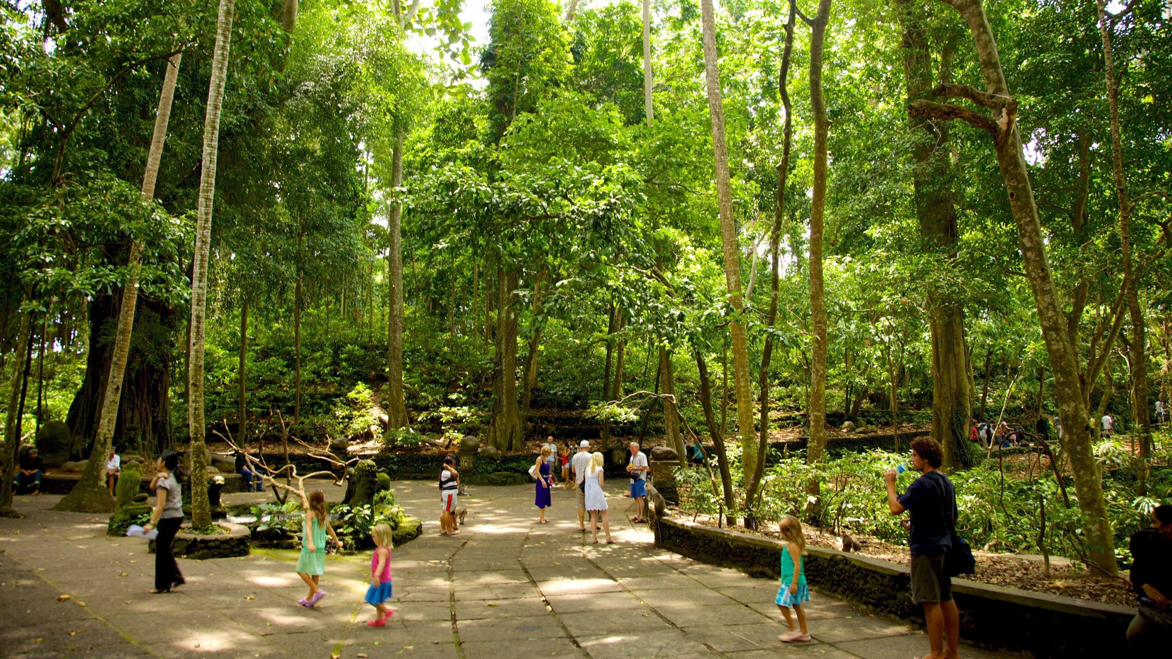Ubud Monkey Forest featuring a temple or place of worship and rainforest as well as a large group of people