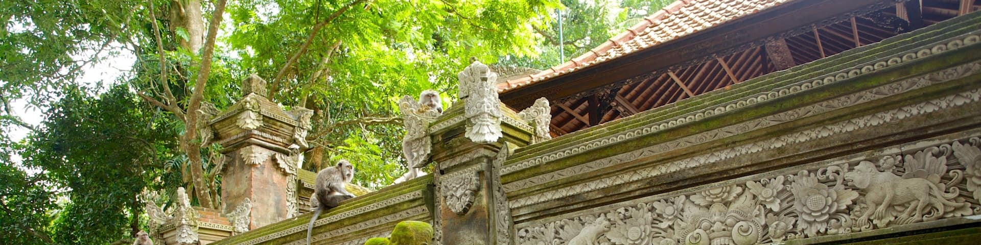 Bosque de monos de Ubud ofreciendo un templo o lugar de culto y patrimonio de arquitectura