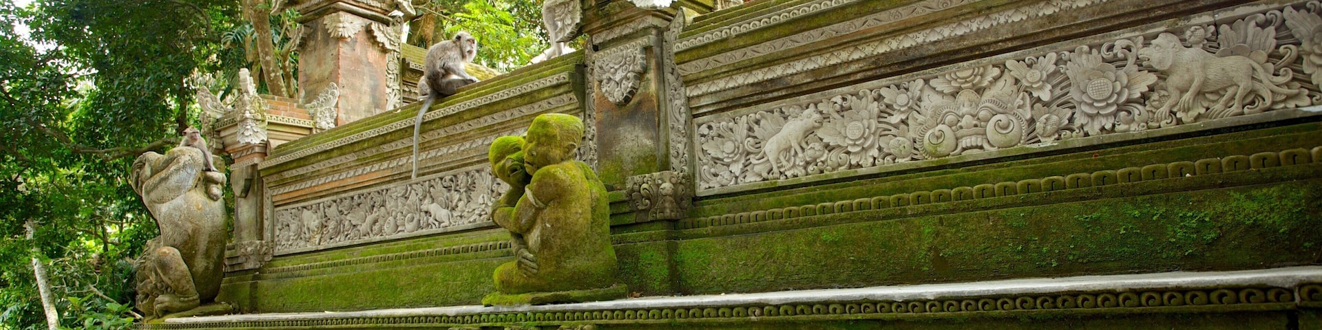 Ubud Monkey Forest which includes a temple or place of worship and heritage architecture