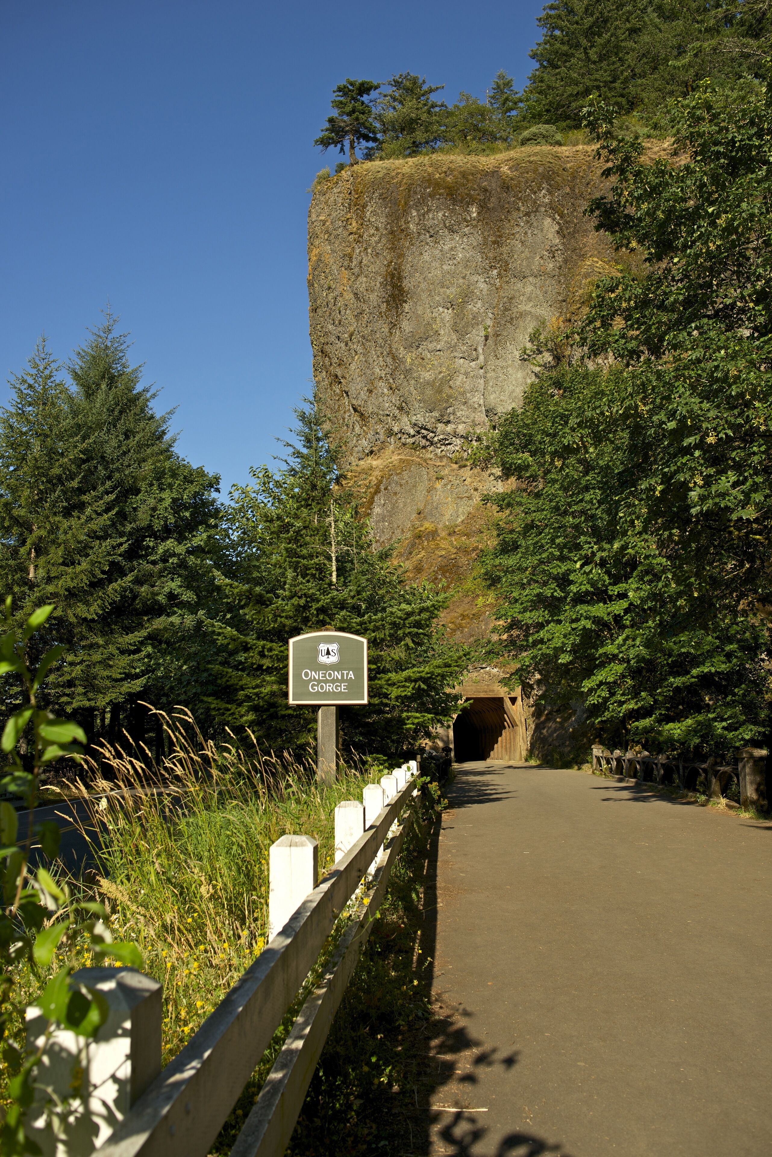 Oneonta Gorge Tunnel