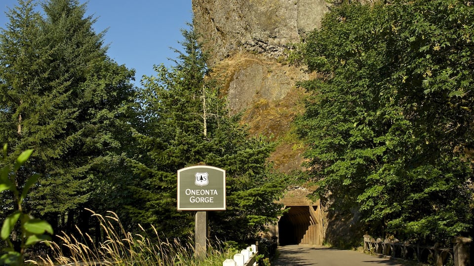 A road leading to a gorge with a sign reading "Oneonta Gorge."