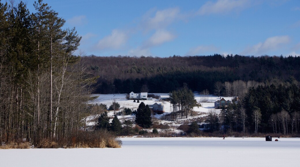Oneonta
