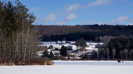 Oneonta