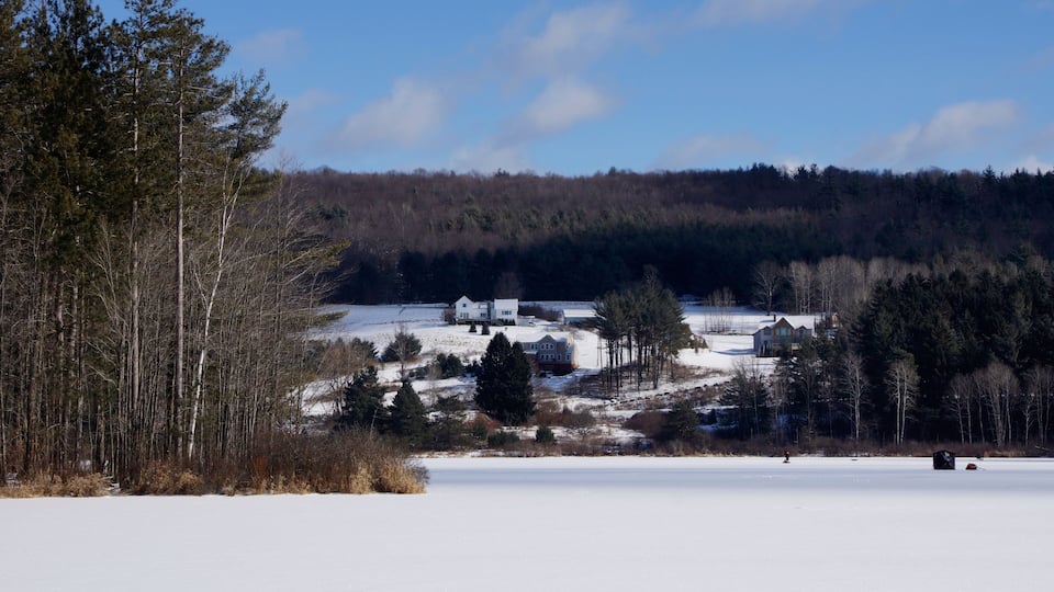 A snowy landscape with a house, trees, and a forested hill.