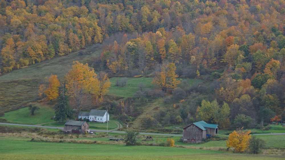 Autumn in Upstate New York