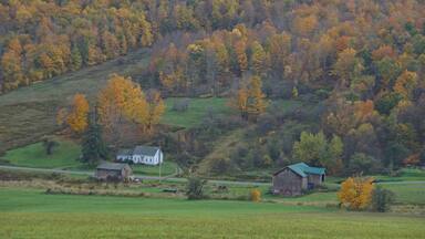 Oneonta