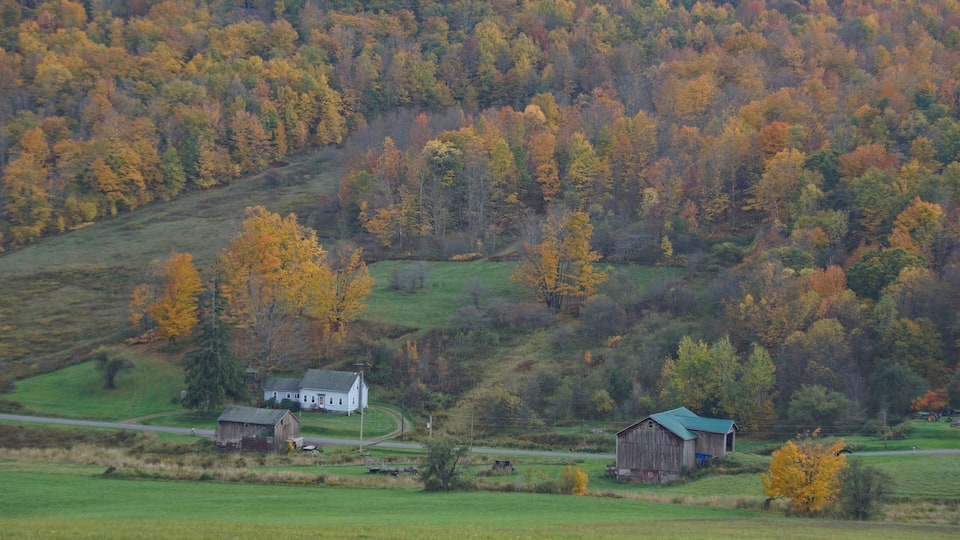 A rural landscape with a white house, a barn, and a forested hill in autumn colors.
