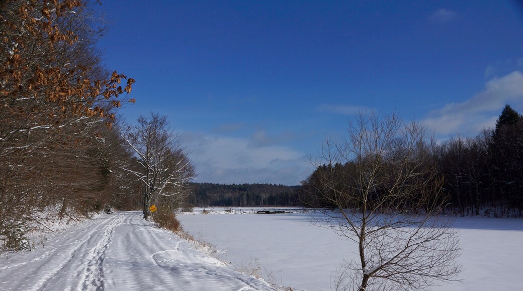 Wilber Lake conservation area near Oneonta NY