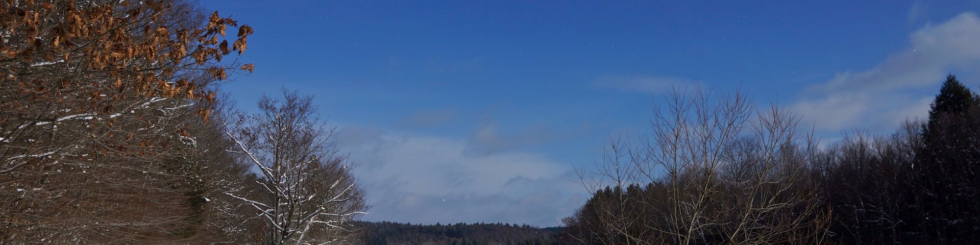 Wilber Lake conservation area near Oneonta NY