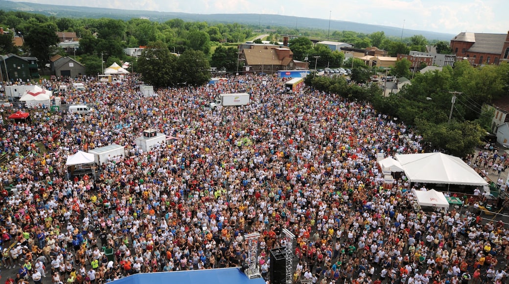 Utica showing a festival as well as a large group of people