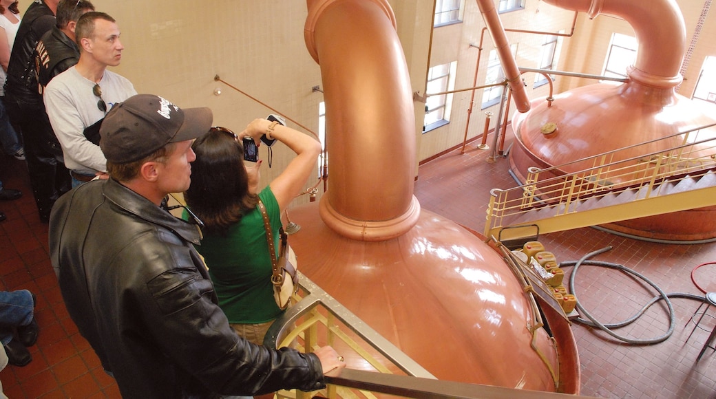 Utica featuring interior views as well as a small group of people