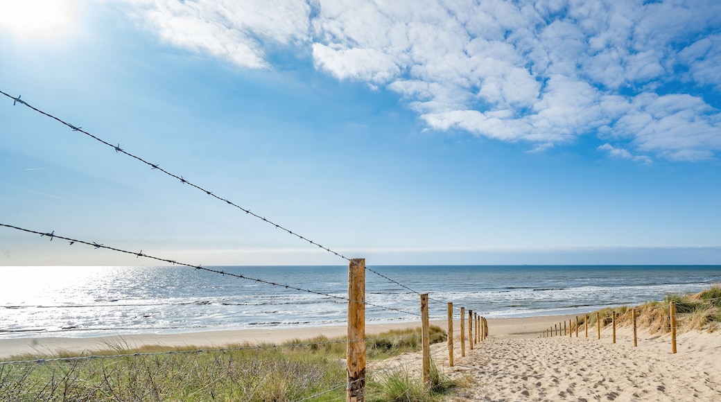 A path with many tracks, delimited by wooden posts on the sand dune with wild grass and beach in Noordwijk on the North Sea in Holland Netherlands - Panorama sea landscape with blue sky and clouds