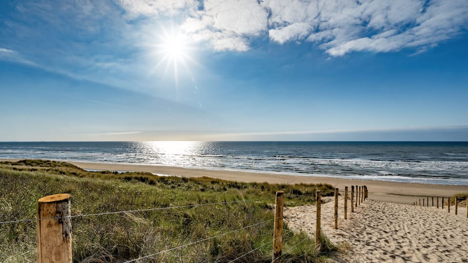 A path with many tracks, delimited by wooden posts on the sand dune with wild grass and beach in Noordwijk on the North Sea in Holland Netherlands - Panorama sea landscape with blue sky and clouds