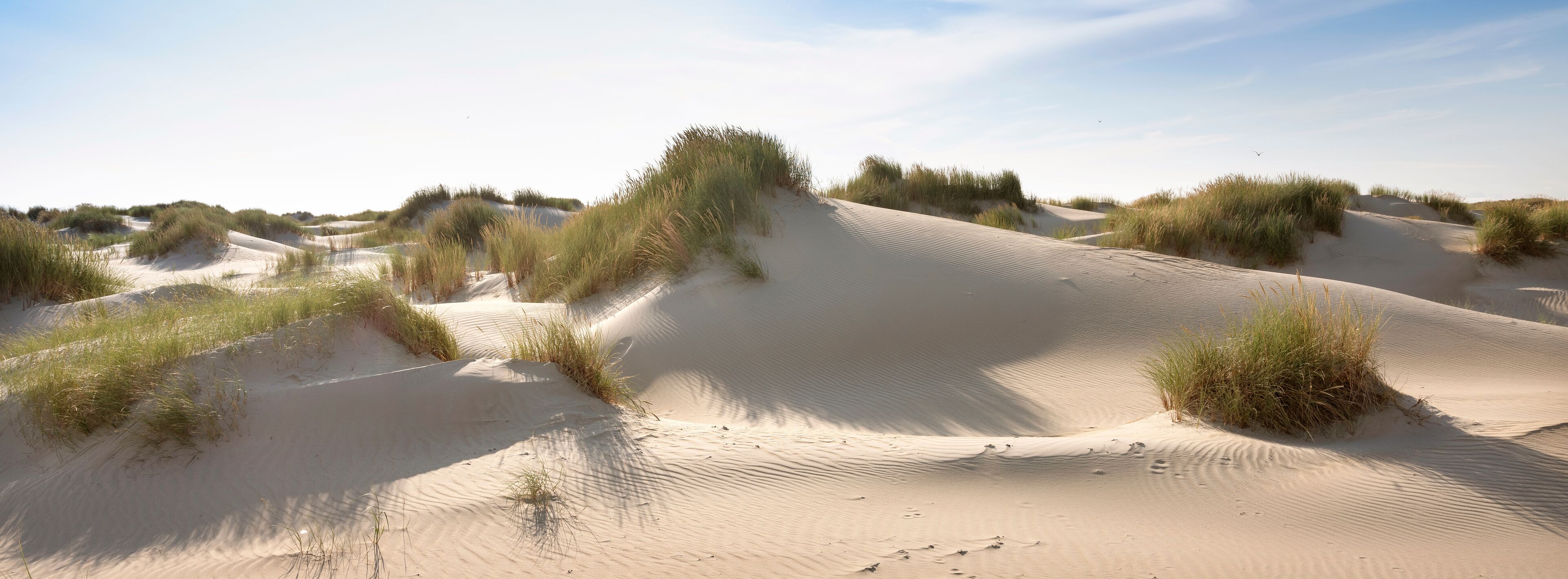 dutch wadden islands have many deserted sand dunes uinder blue summer sky in the netherlands