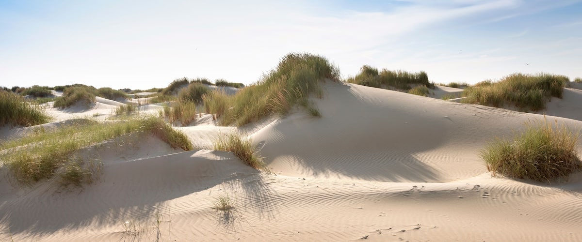 Sand dunes with patches of grass.