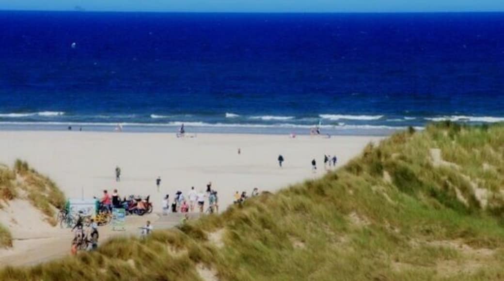 Terschelling is one of the northern Dutch islands. Being Holland, the weather is uncertain but if you hit it right, it's a beautiful island to walk, ride bikes and the enjoy lots of beautiful nature. Lots of goodies made from Cranberries, as a long time ago a crate of cranberries fell over board and made their way to shore where they thrived and grew in abundance. Being from Massachusetts, I found this made me feel at Home. Veel plezier
#beachboubd