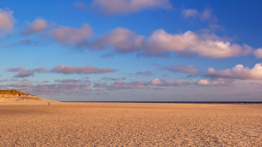 Lighthouse on Texel island in The Netherlands in morning light