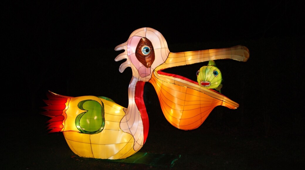 Haren, Confucius, China Light Festival