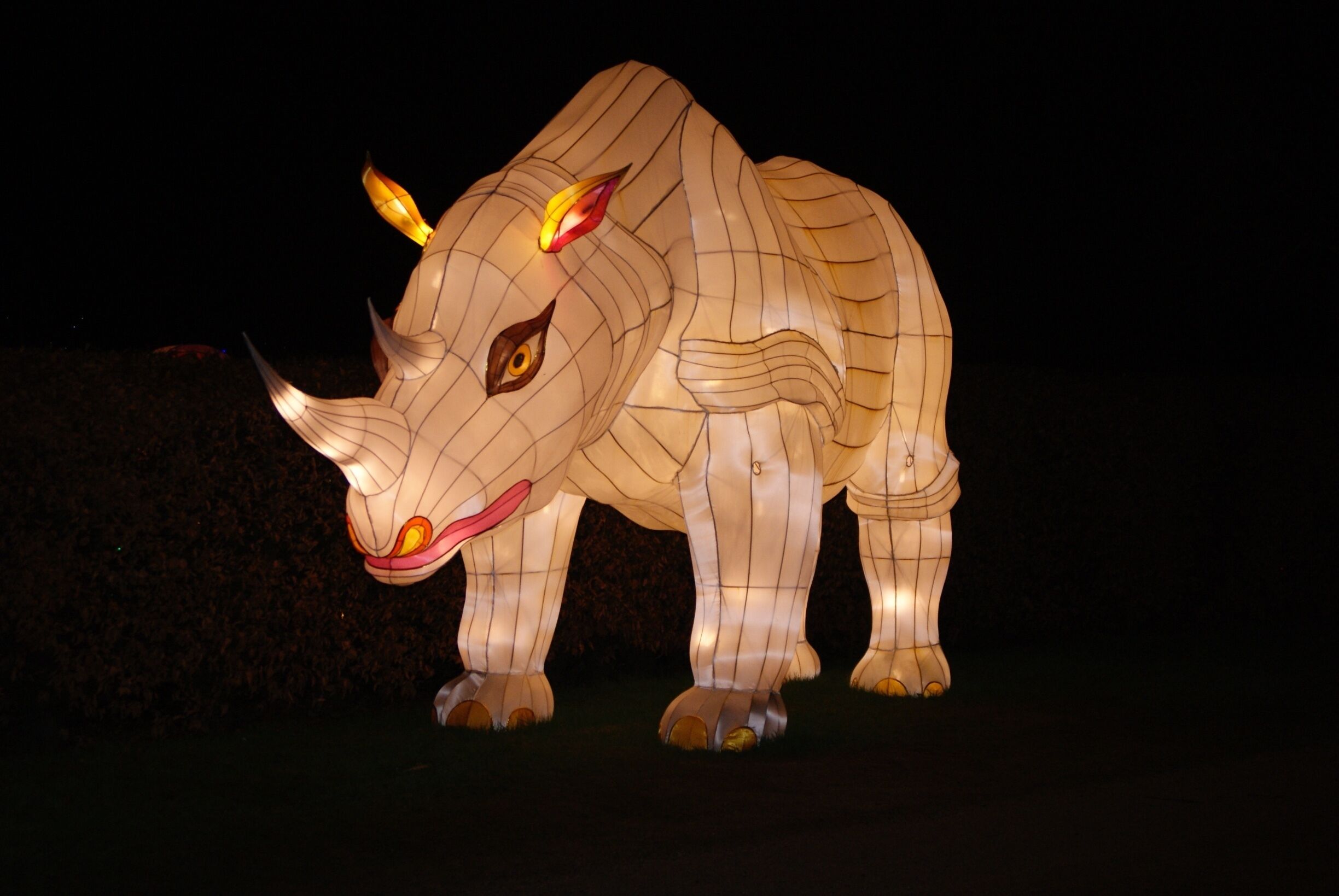 Haren, Confucius, China Light Festival, Neushoorn
