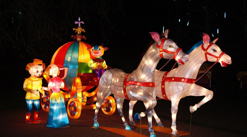 Haren, Confucius, China Light Festival