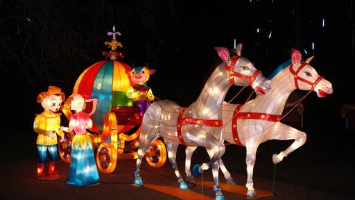 Haren, Confucius, China Light Festival