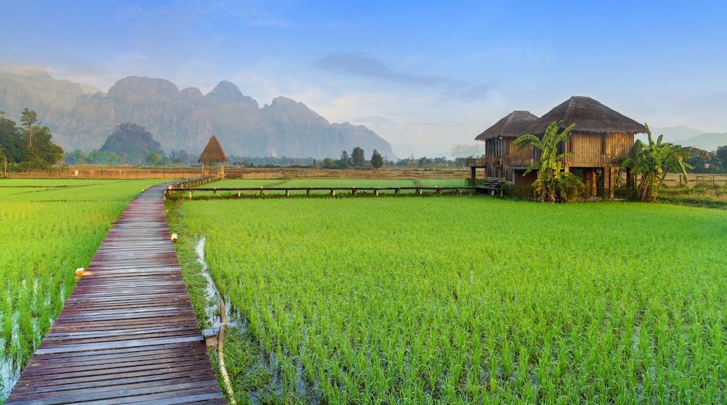 Vang Vieng, Laos