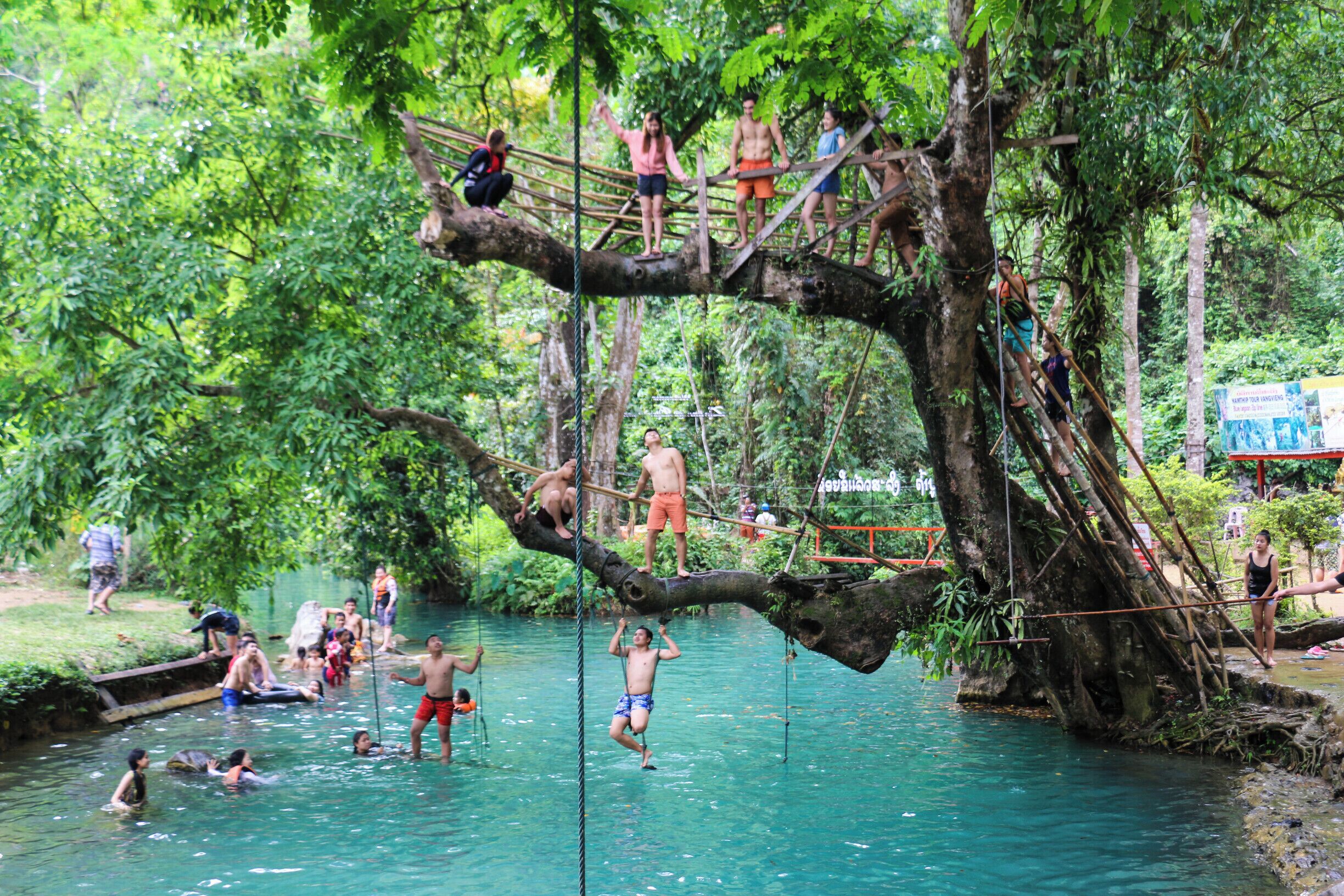 A nice small tree jump in Vang Vieng next to the Tham Phu Kham Cave